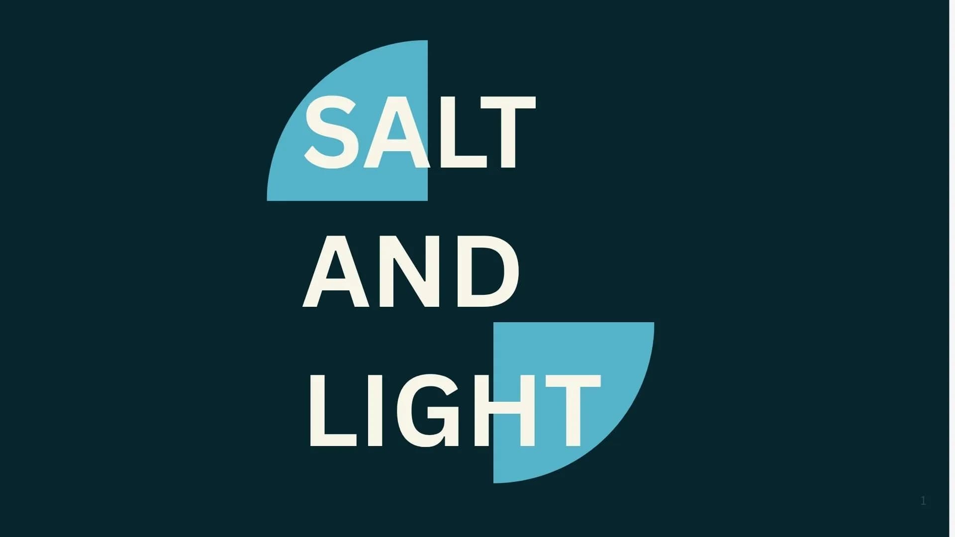 Salt and Light Graphic