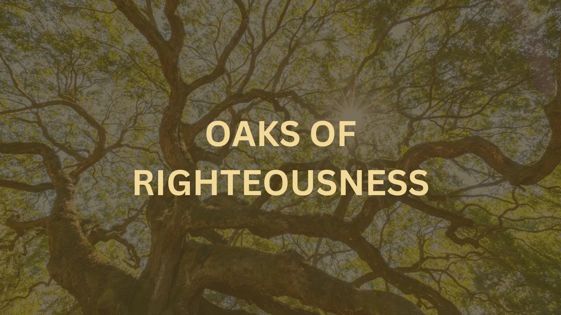 OAKS OF RIGHTEOUSNESS