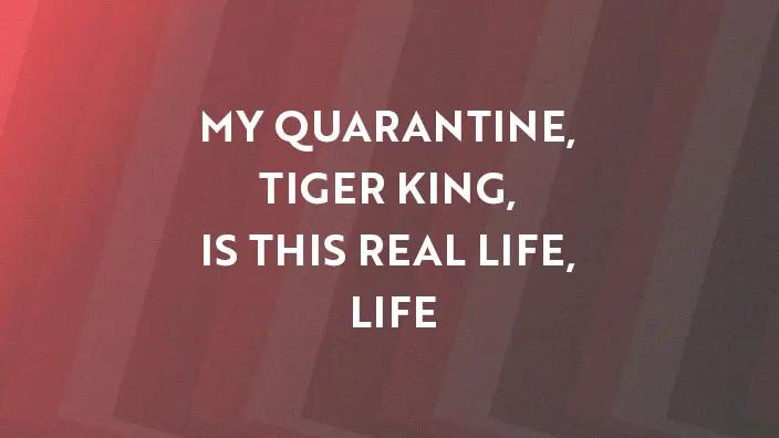 Graphic for the My Quarantine, Tiger King, Is This Real Life, Life series